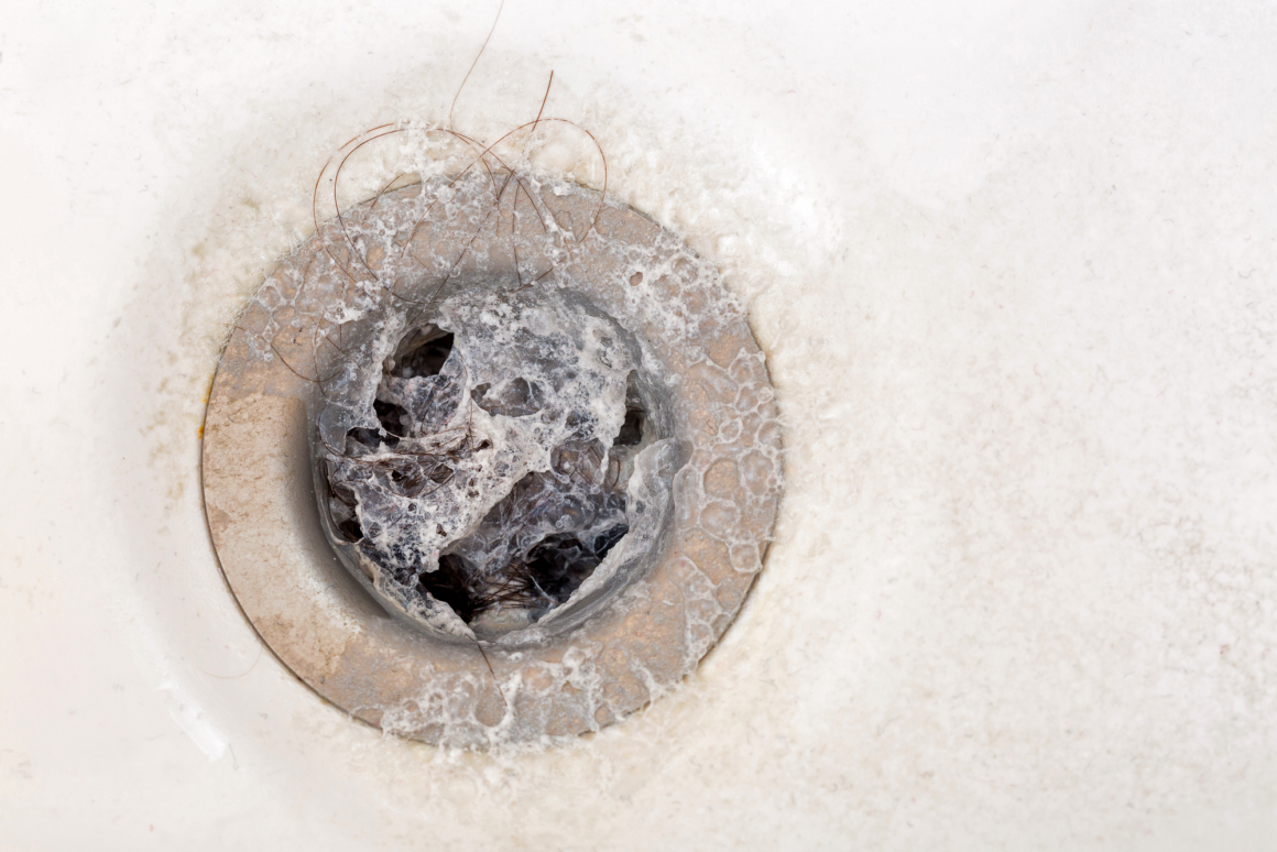 clogged drain need plumbing services in san francisco