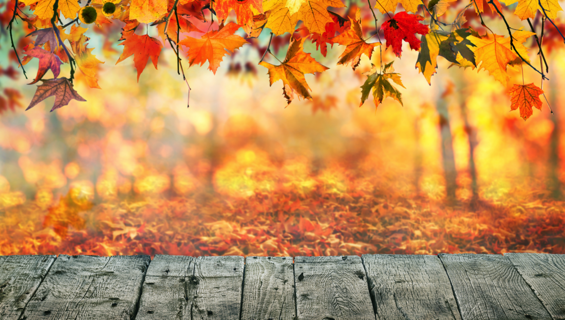 Fall Plumbing Checklist for San Francisco