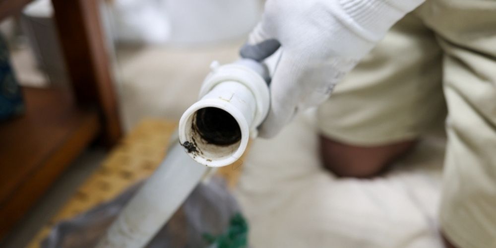 Don’t Rely on Store-Bought Chemicals