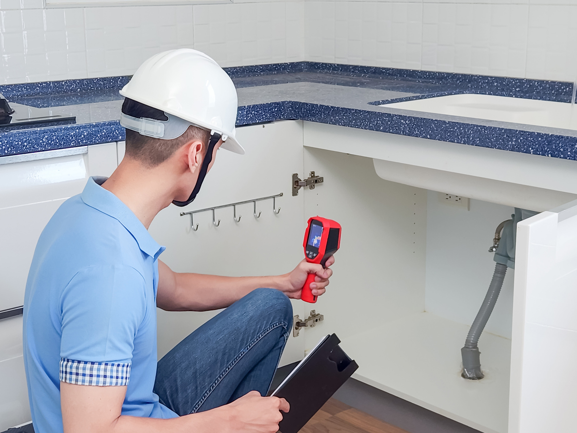 Professional Plumbers