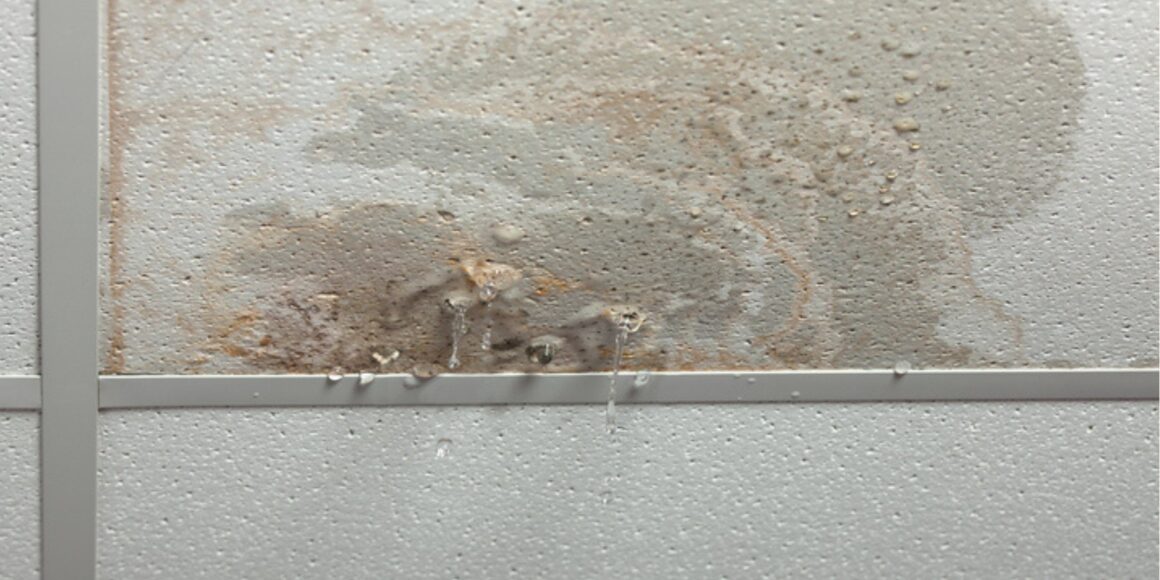 Leak Detection - Leaks Found