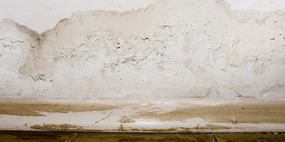 Plumbing Inspection - Protecting Structural Integrity