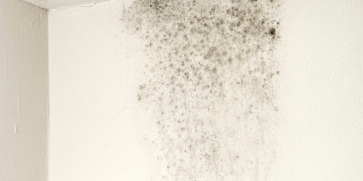 Leak Detection - Leaks in Concealed Pipes