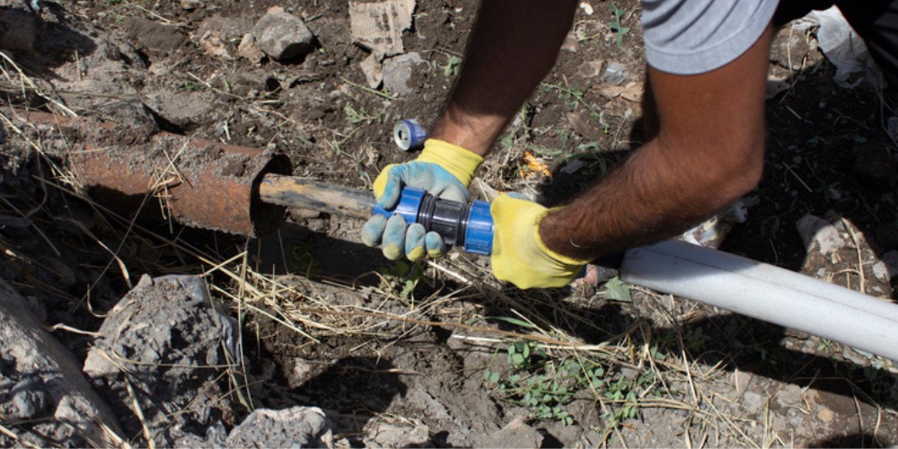 Root Control - Choosing the right product