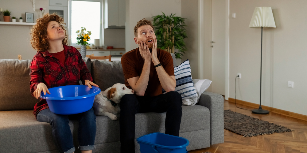 Check High-Risk Areas First