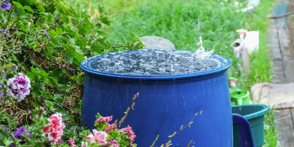 Reuse and Monitor Water for Plumbing Efficiency