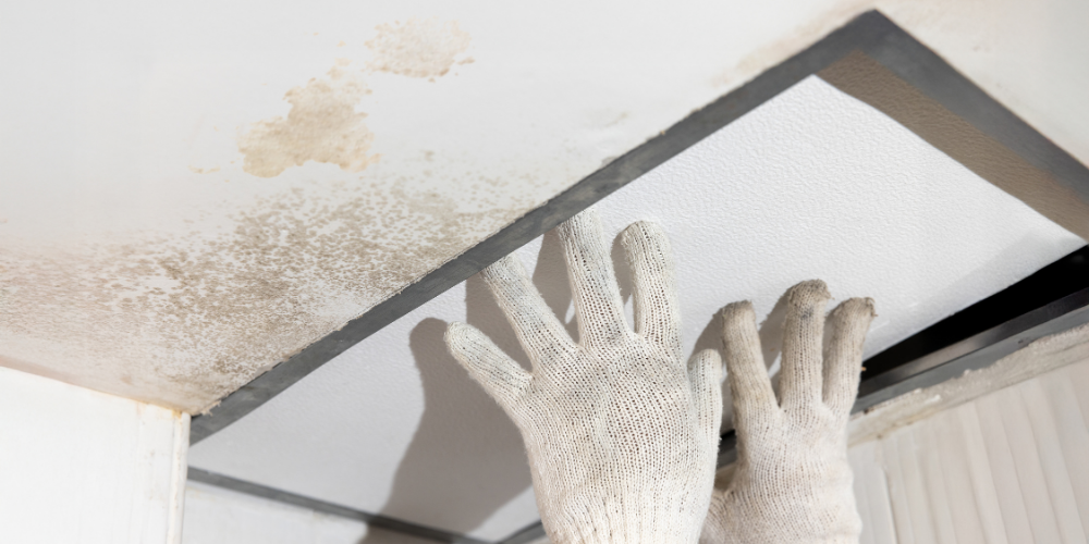 Spot Early Leak Warning Signs